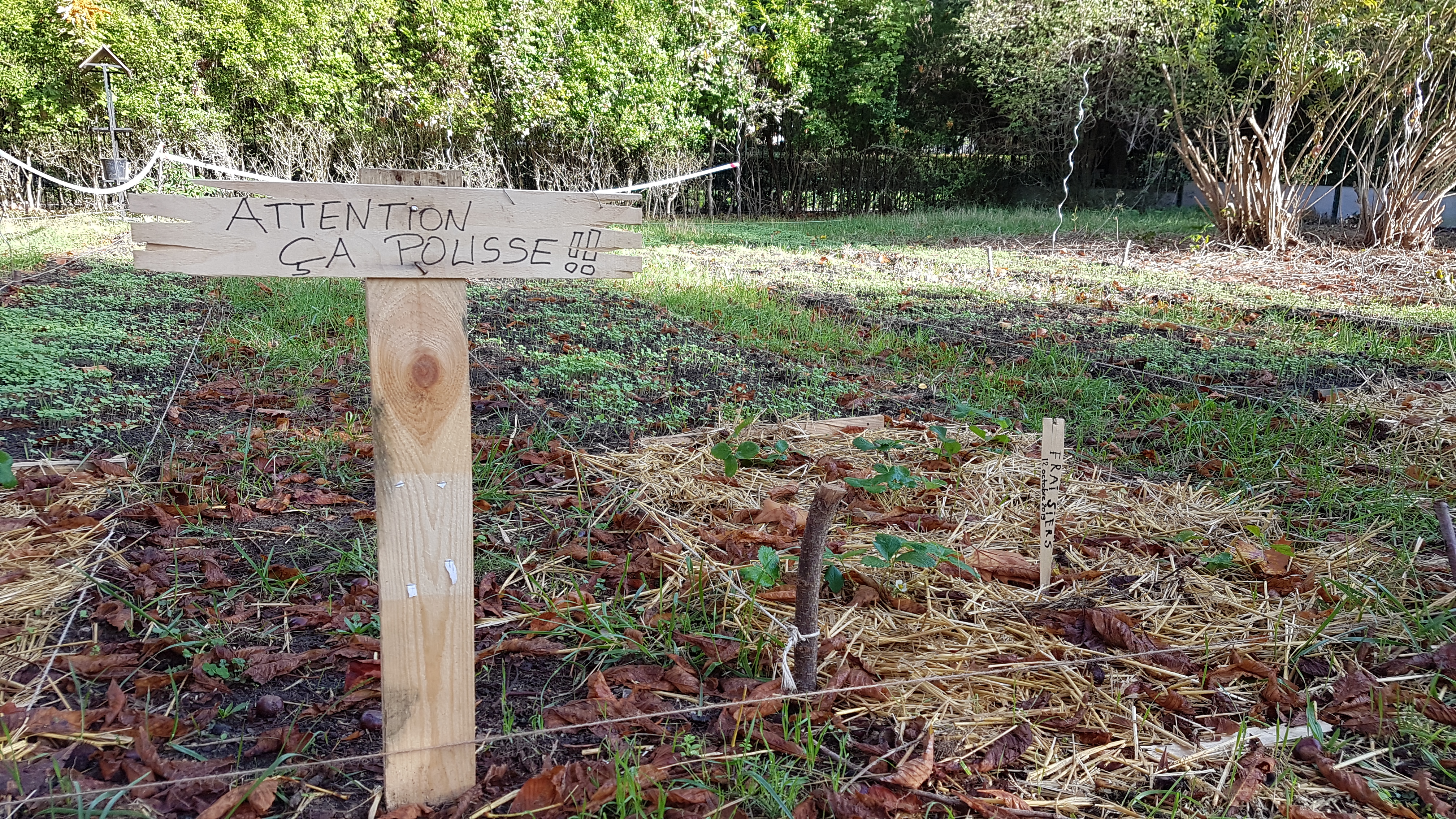 Recette du jardin partagé