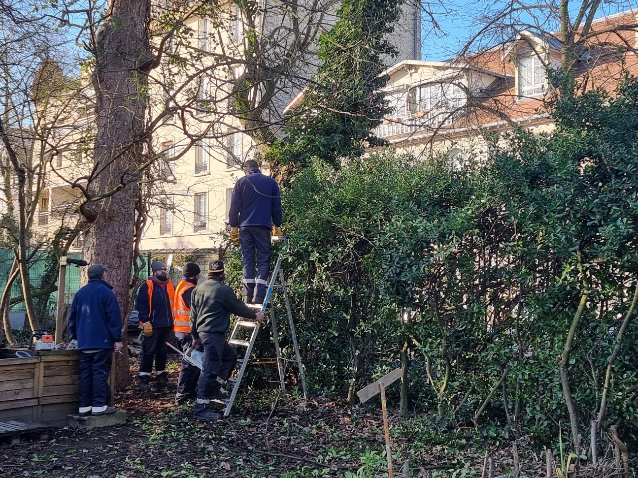 L’élagage de notre haie avec l’aide des jardiniers de St Maurice